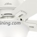 Hunter Fan Company 53343 Casual Donegan Fresh White Ceiling Fan with Light  52" - B01CDFYWV2